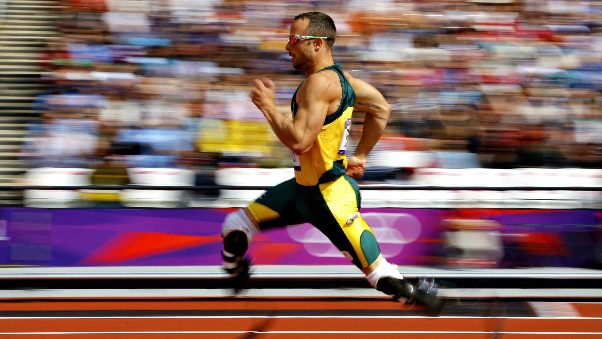 雄鹿主场球票被秒空，场均上座率联盟前五，雄鹿队球场